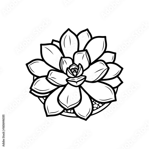 black and white line drawing of a succulent or flowering plant with intricate, overlapping petals or leaves. The overall shape resembles a rosette or spiral pattern, creating a visually striking and g