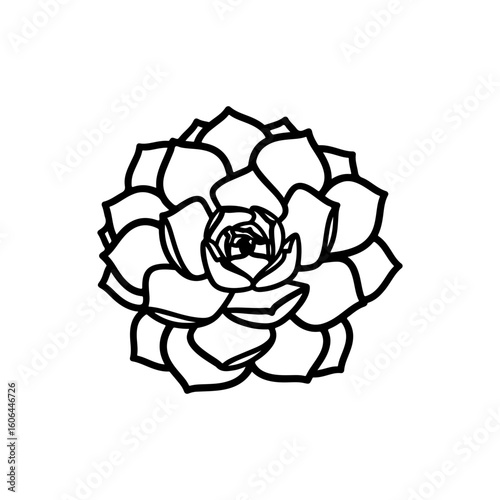 black and white line drawing of a succulent or flowering plant with intricate, overlapping petals or leaves. The overall shape resembles a rosette or spiral pattern, creating a visually striking and g