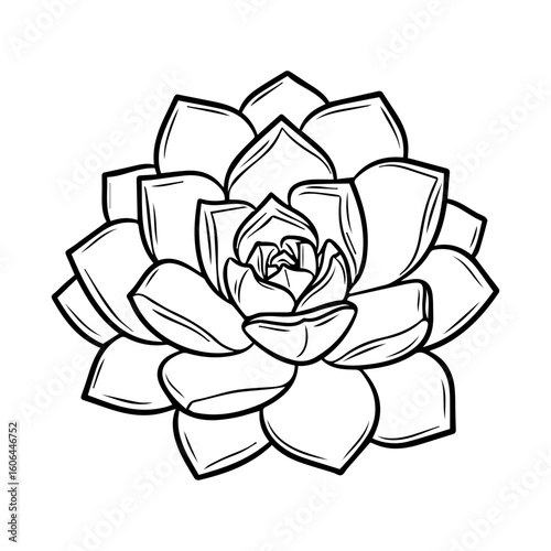 black and white line drawing of a succulent or flowering plant with intricate, overlapping petals or leaves. The overall shape resembles a rosette or spiral pattern, creating a visually striking and g