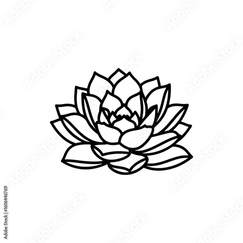 black and white line drawing of a succulent or flowering plant with intricate, overlapping petals or leaves. The overall shape resembles a rosette or spiral pattern, creating a visually striking and g