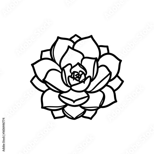 black and white line drawing of a succulent or flowering plant with intricate, overlapping petals or leaves. The overall shape resembles a rosette or spiral pattern, creating a visually striking and g