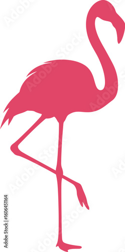 Elegant Pink Flamingo Silhouette Standing on One Leg Against a Clean White Background