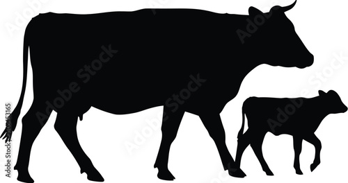 Silhouette of a Cow and Calf Walking Together on a White Background Farm Animals