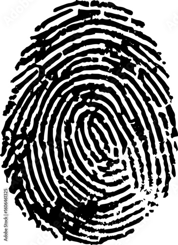 High resolution thumb print on a white background. This is one of two total.