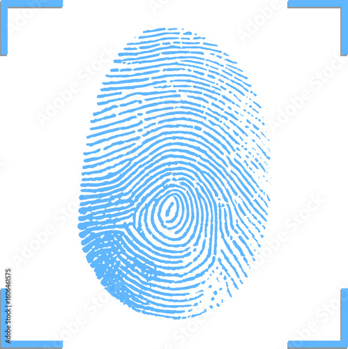 Fingerprint icon isolated on white background. Finger print flat scan. Blue biometric finger. Blue and white close up of a fingerprint stock illustration