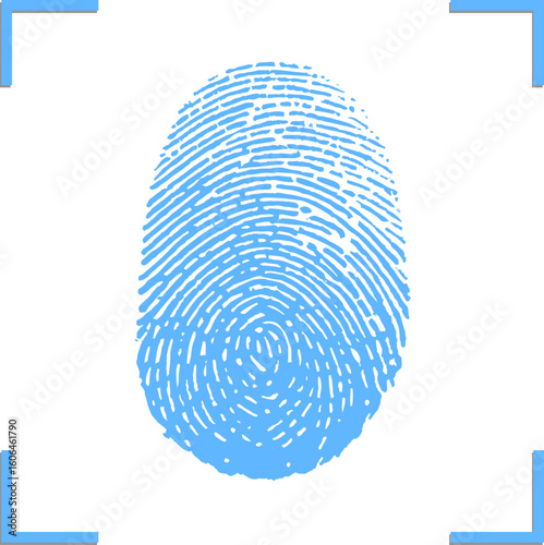 Blue fingerprint, vector icon. Identification. Biometric. Digital authentication. Blue and white close up of a fingerprint stock illustration eps 10