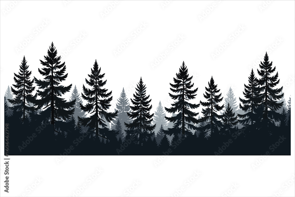 Fototapeta premium Majestic Pine Trees Silhouette