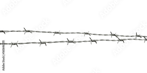 Barbed wire strands sharp metal points isolated on a transparent background sharp points