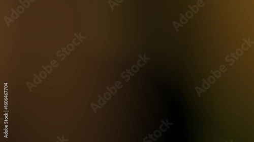 warm collor light leaks_暖色系のライトリーク　オレンジ、黄色の木漏れ日　ピンク、オレンジの木漏れ日