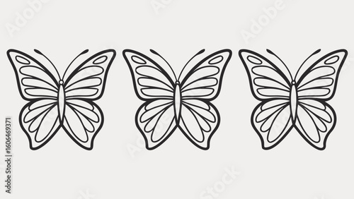 Three Black Line Art Butterfly Wing Variations Minimalist Vector