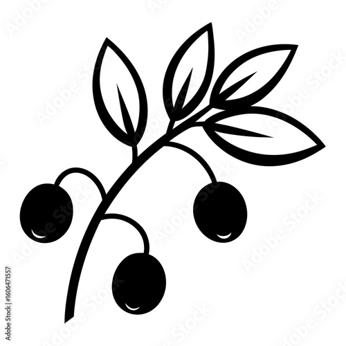 black olives with leaves