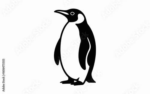 penguin isolated on white