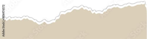 Beige torn paper Texture