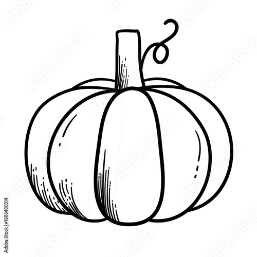 Pumpkin - squash for Halloween or Thanksgiving line art icon for apps and websites