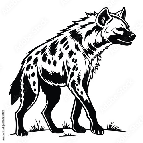 Striking Black and White Hyena Illustration Walking Confidently Across the Frame Design Accents