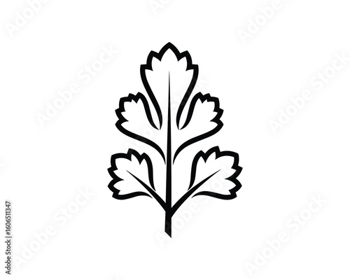 Cilantro Leaf Vector Illustration, Herb Element with Black Outline on White Background, Isolated Graphic Design