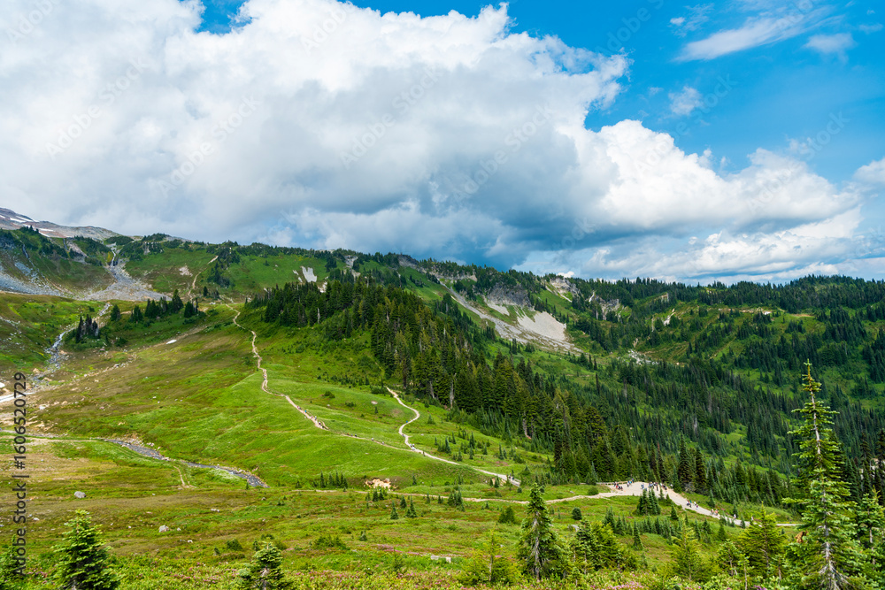 Naklejka premium Valley landscape with cloudy sky. Scenic green hill mountain. Travel destination. Breathtaking summer in wild mountain with forest and green slopes. Mountain landscape with wide meadow