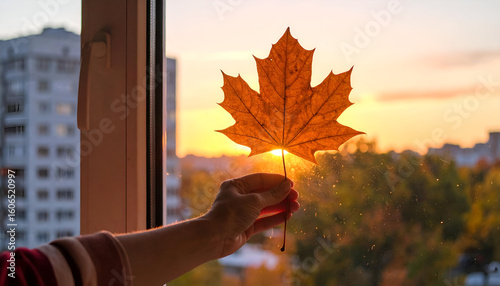 Torn Leaf Silhouette Against Dark Window During Sunset View