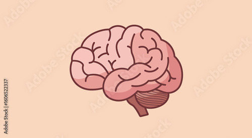 Illustration of a human brain in profile, showing its lobes, convolutions, and cerebellum, against a light beige background.
