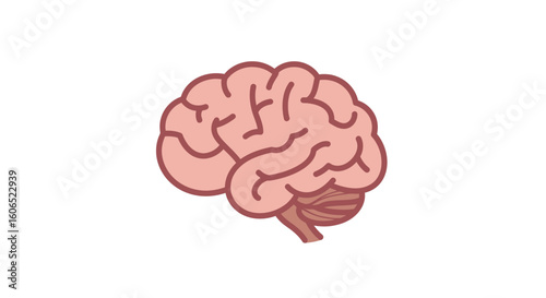 Simple illustration of a human brain, showcasing its detailed anatomy in a light pink hue.