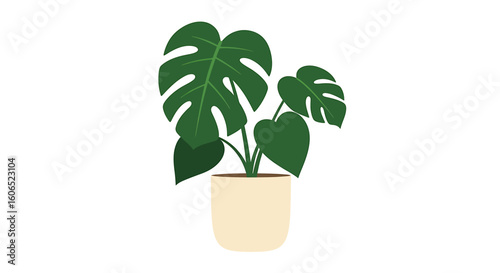 A stylized illustration of a Monstera deliciosa plant in a cream-colored pot against a white background.