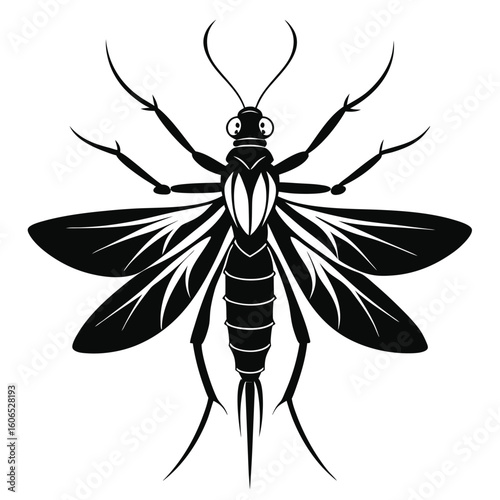 Elegant Black Silhouette of a Mosquito Insect with Veined Wings and Antennae Against White Background Creating a Striking Visual