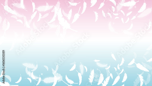白い鳥の羽がふわふわと舞う（16:9）6 Feather Series:Many white bird feathers fluttering