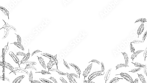 手描き線画の羽がふわふわと舞うフレーム（16:9）1 Feather Series:Hand-Drawn Line Art Feathers Falling from Above