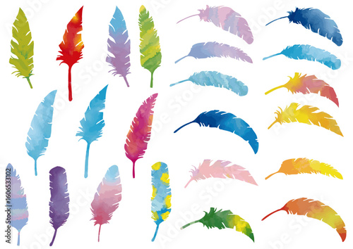 手描きの鳥の羽セット（水彩風）Feather Series:Hand-drawn Bird Feather Set