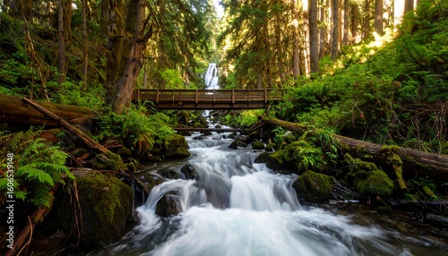 Lush waterfall cascading through forest