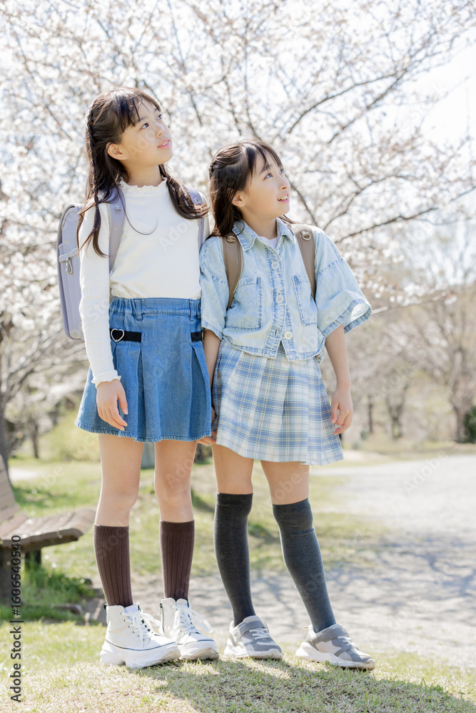 Fototapeta premium 見上げる小学生