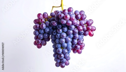 Wallpaper Mural Purple grapes with white background. Torontodigital.ca