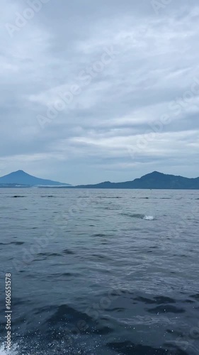 Pod of dolphins swimming in ocean. Vertical Video
