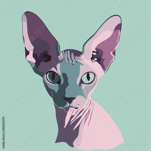 Sphynx Cat Portrait Vector Illustration