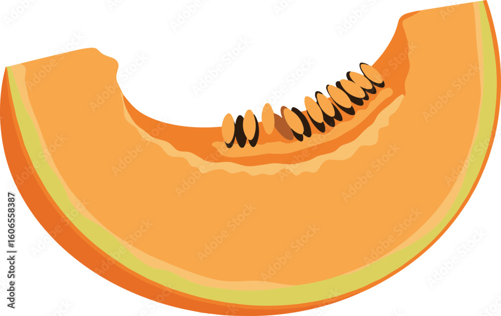 Fototapeta premium Orange Cantaloupe Melon Slice with Seeds Vector Illustration