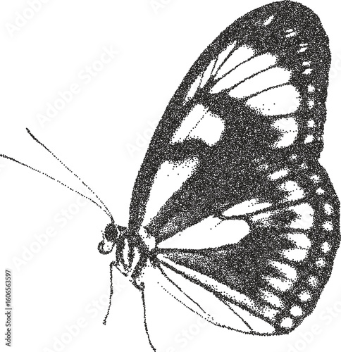 Butterfly vintage y2k stipple art, wings halftone stipple brutalist retro vector png with transparent background, flutter 2000s aesthetic photocopy effect tattoo