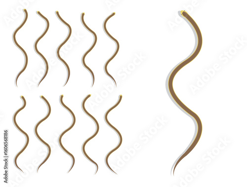 Snake Inland Taipan Animal Animation Sequence Cartoon Vector