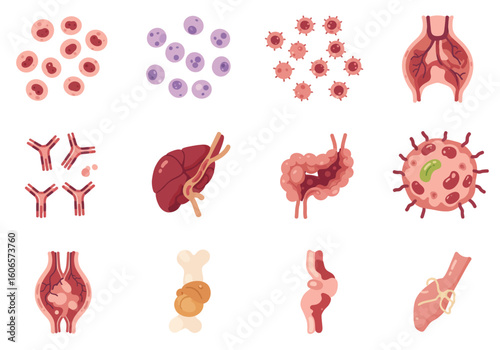 A medical illustration showing immune system elements including cells organs and antibodies in a grid pattern