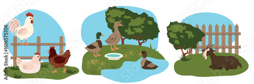 Flat illustration of farm scenes with chickens, ducks, and a resting goat on green pastures. Simple cartoon style with blue sky background, ideal for childrens books, farm education, and playful