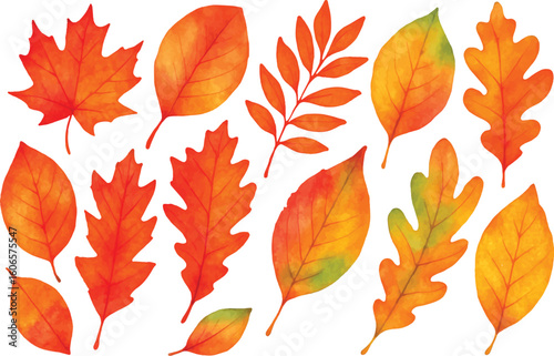 watercolor autumn leaves bundle set