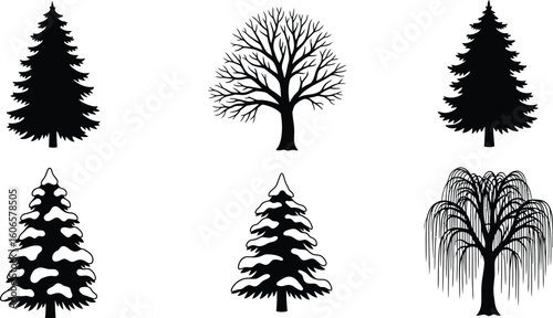 Collection of a Variety of Different Tree Silhouettes, Including Evergreen, Deciduous