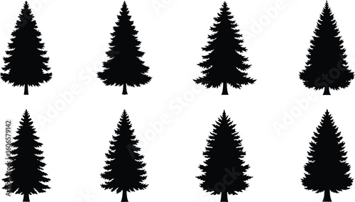 Collection of a Silhouette of a Evergreen Tree, a Coniferous Plant, Perfect for Forestry