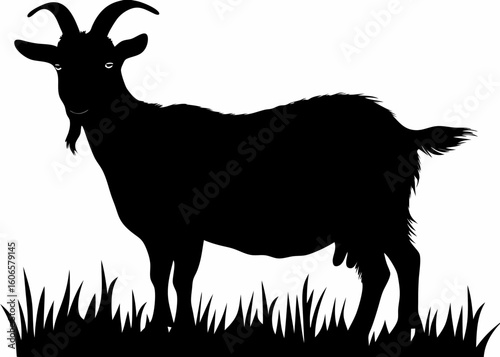 Silhouette of a goat standing in grass