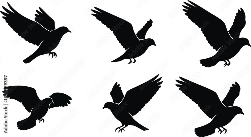 Obraz premium Silhouette of Flying Doves, Symbolizing Peace, Freedom