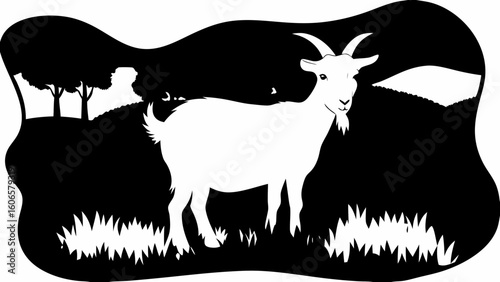 White goat standing in a black silhouette landscape