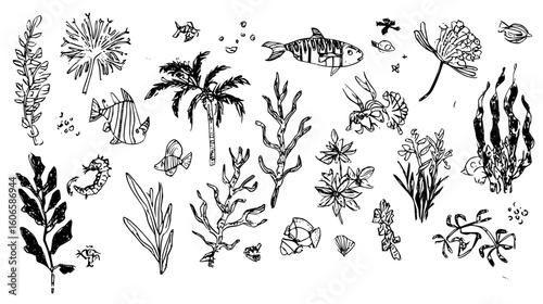 Hand drawn ocean life illustration featuring fish seaweed coral shells and a palm tree in black and white