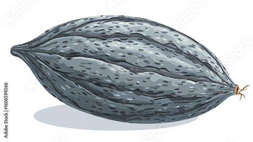 A detailed illustration of a single gray cacao pod. The illustration is rendered in grayscale with shading to suggest texture and form. The pod is depicted from a slightly elevated angle