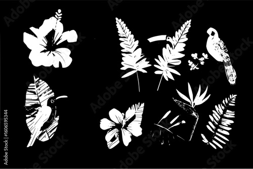 Illustration of tropical plants and birds including hibiscus flowers and ferns on a black background