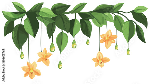 A digital illustration depicting a branch of a vine with hanging yellow flowers and green leaves.  The leaves are ovate with smooth edges. The flowers are bell-shaped with five petals each.