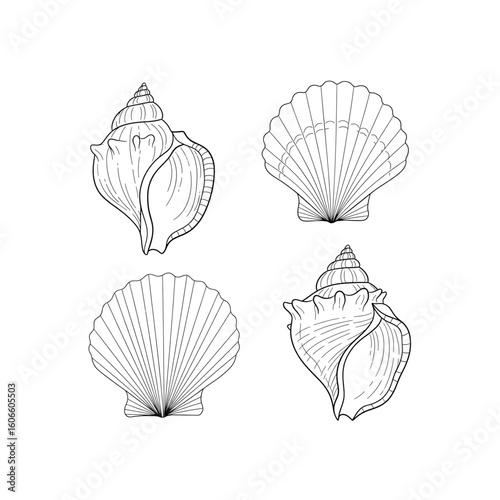 Set of hand drawn seashells drawing ink. Minimalist line art. Summer vacation design elements for trendy prints, label, menu cover.
